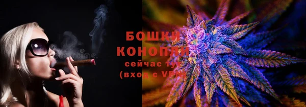 ешки Арсеньев