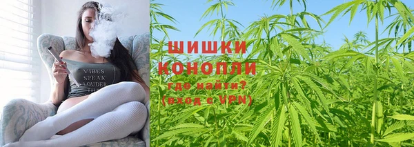 ешки Арсеньев