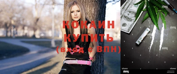 ешки Арсеньев