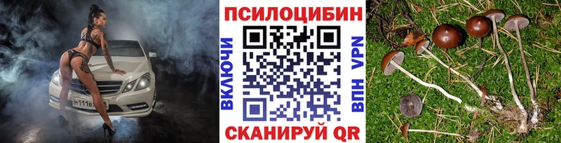 купить наркотики сайты  Артёмовск  Псилоцибиновые грибы ЛСД 
